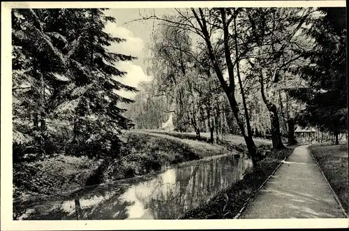 Ak Tiefenbrunn Rosdorf, Landessanatorium Rasemühle, Parkpartie