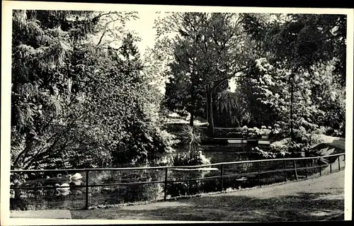 Ak Tiefenbrunn Rosdorf Niedersachsen, Teichpartie