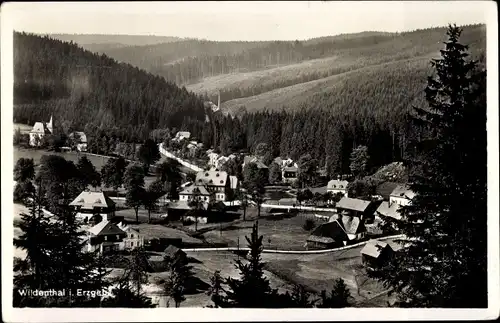 Ak Wildenthal Eibenstock Erzgebirge, Wälder, Häuser, Berge