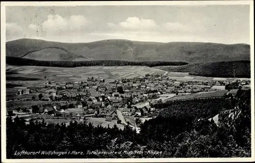 Ak Wolfshagen Langelsheim am Harz, Totalansicht von der Mispliem Klippe