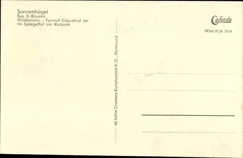 Ak Wildemann Clausthal Zellerfeld im Oberharz, Sonnenhügel