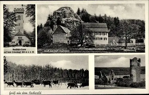 Ak Morbach Hunsrück, Hirsche, Ruine Baldenau, Wildenburg, Außsichtsturm