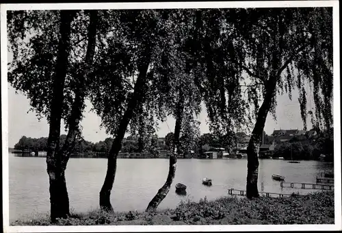 Foto Ak Czaplinek Tempelburg Pommern, Partie am Wasser, Birken