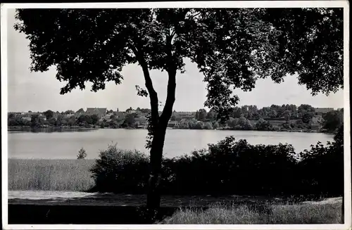 Foto Ak Czaplinek Tempelburg Pommern, Ortspartie, Bäume, Im Hintergrund der Ort