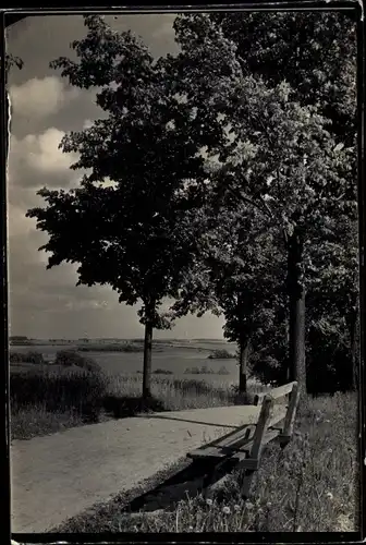 Foto Ak Czaplinek Tempelburg Pommern, Ortspartie, Bäume, Holzbank