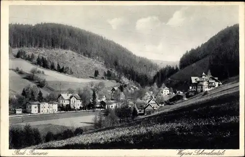 Ak Duszniki Zdrój Bad Reinerz Schlesien, Weg in's Schmelzetal