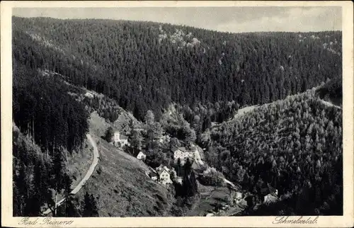 Ak Duszniki Zdrój Bad Reinerz Schlesien, Schmelzetal