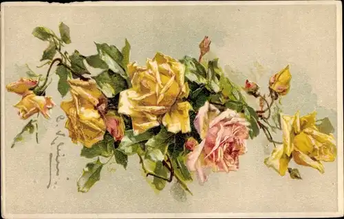 Künstler Litho Klein, Catharina, Rosa und gelbe Rosenblüten