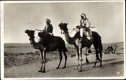 Ak Beduinen, Dromedar, Wüste, Kamele, Araber, Maghreb