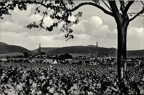 Ak Edenkoben an der Haardt, Panorama