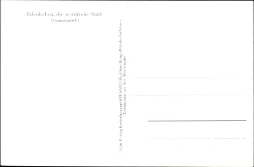 Ak Edenkoben an der Haardt, Panorama