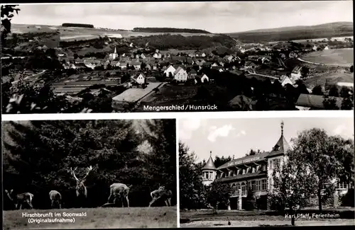 Ak Mengerschied im Hunsrück, Panorama, Hirschbrunft im Soonwald