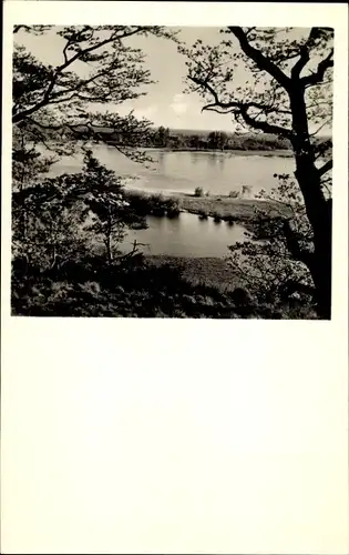 Ak Schnakenbek in Lauenburg, Sandkrug, Blick vom Waldgarten der Landhausklinik