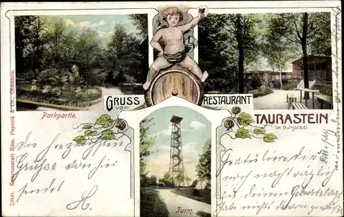 Ak Taurastein Burgstädt in Sachsen, Restaurant Taurastein, Parkpartie, Aussichtsturm