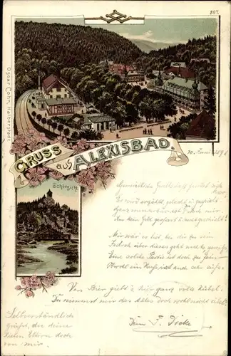 Litho Alexisbad Harzgerode am Harz, Schönsicht, Blick auf den Ort