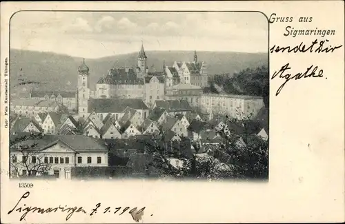 Ak Sigmaringen an der Donau Baden Württemberg, Panorama