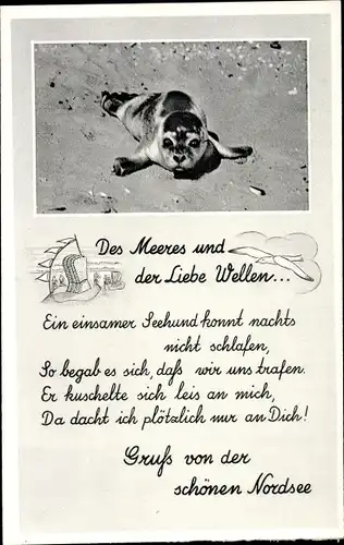 Ak Seehund am Strand, Des Meeres und der Liebe Wellen...