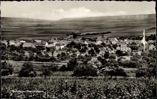 Ak Sulzheim Rheinhessen, Panorama