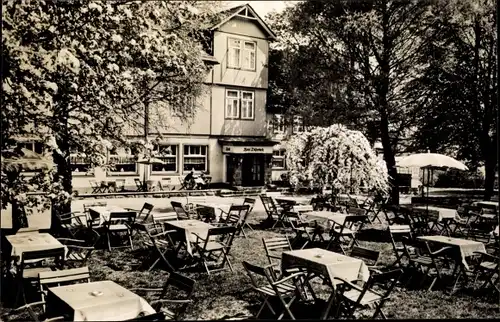 Ak Neuhaus im Solling Holzminden Niedersachsen, Hotel Düsterdiek