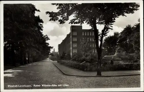 Ak Wiesdorf Leverkusen in Nordrhein Westfalen, Kaiser Wilhelm Allee mit Löwe