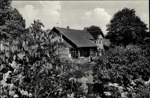 Ak Bad Harzburg am Harz, Haus Im Stübchental, Gärtnerei