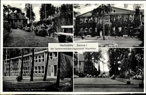 Ak Senne Bielefeld in Nordrhein Westfalen, Heilstätte