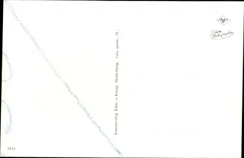 Ak Rüdesheim am Rhein, Rheinstraße, Hotel Traube