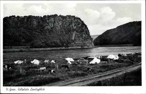 Ak Sankt Goar am Rhein, Zeltplatz Loreleyblick