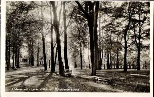 Ak Lüdenscheid im Märkischen Kreis, Loher Wäldchen, Scheidende Sonne