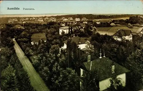 Ak Aumühle im Herzogtum Lauenburg, Panorama