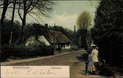Ak Ahrensburg in Schleswig Holstein, Steinkamp, Straßenpartie im Ort
