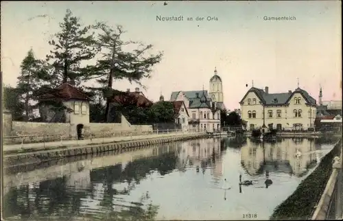 Ak Neustadt an der Orla, Gamsenteich