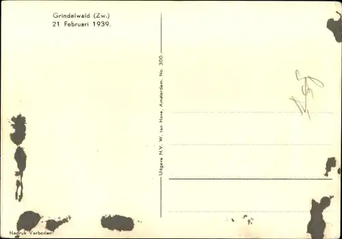 Ak Grindelwald Kt. Bern Schweiz, Prinzessin Beatrix der Niederlande, Portrait