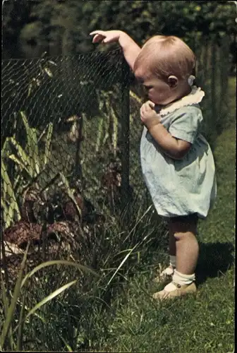 Ak Prinzessin Beatrix der Niederlande, Enten