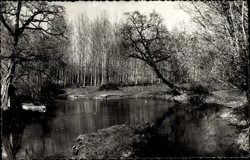 Ak Chizé Deux Sèvres, La Boutonne, Waldpartie