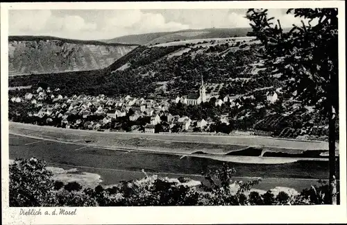 Ak Dieblich an der Mosel, Panorama