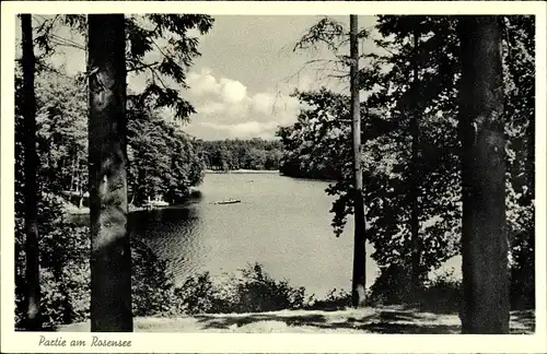 Ak Raisdorf Schwentinental Schleswig Holstein, Partie am Rosensee