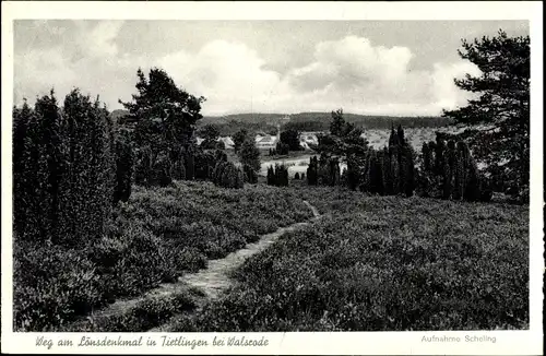 Ak Tietlingen Walsrode im Heidekreis, Weg am Lönsdenkmal
