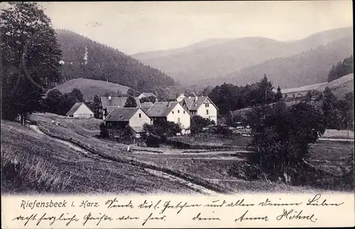 Ak Riefensbeek Osterode am Harz, Gesamtansicht