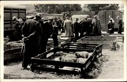 Ak Hellendoorn Overijssel, Veemarkt, Schweine