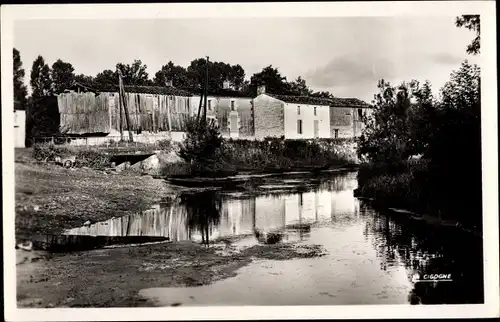 Ak Marais Poitevin Deux Sèvres, Arcais, La Sevre Niortaise