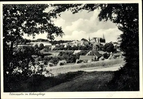 Ak Ostercappeln in Niedersachsen, Panorama