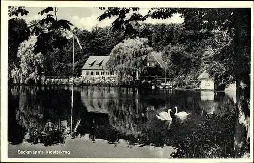 Ak Neukloster Buxtehude im Kreis Stade, Beckmann's Klosterkrug, See, Schwäne