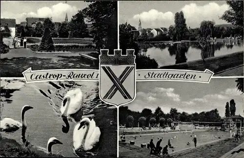 Ak Castrop Rauxel, Stadtgarten, Schwimmbad, Schwäne