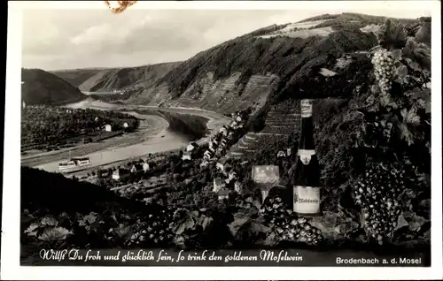 Ak Brodenbach an der Terrassenmosel, Weinterrassen, Moselwein, Fluss, Ort, Berge