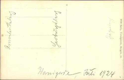 Ak Wernigerode am Harz, Ort aus der Vogelschau