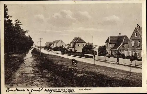 Ak Nordseebad Sankt Peter Ording, Am Gehölz