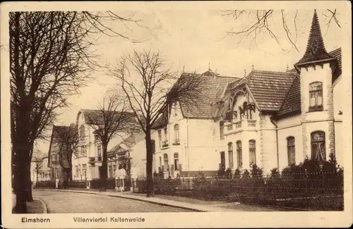 Ak Elmshorn in Holstein, Villenviertel Kaltenweide