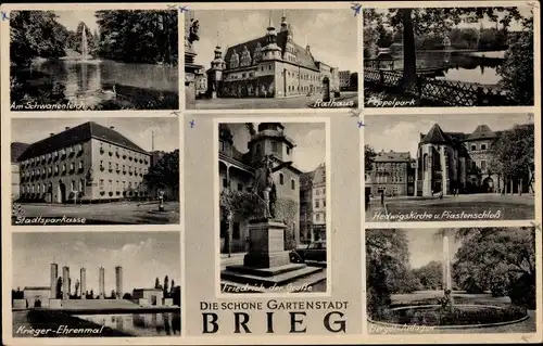 Ak Brzeg Brieg Schlesien, Hedwigskirche, Peppelpark, Rathaus, Piastenschloss, Kriegerehrenmal