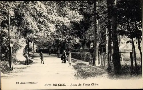 Ak Bois de Cise Ault Somme, Route du Vieux Chene